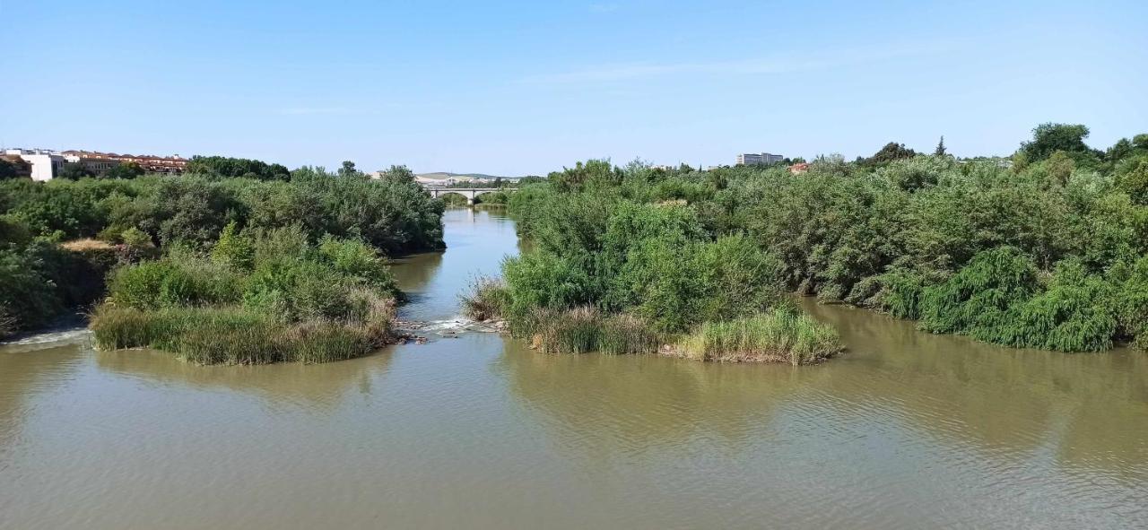Ferienwohnung La Pequena Taifa I Córdoba Exterior foto